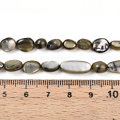 Bianco naturale perline shell fili&nbsp;SHEL-N036-21