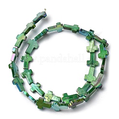 Naturali di acqua dolce perline shell fili&nbsp;SHEL-K006-02B