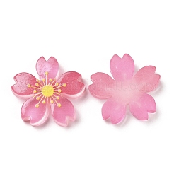 Cabochons della resina luminosi&nbsp;X-RESI-G030-01F
