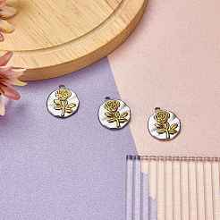 Pendentifs en acier inoxydable 304&nbsp;STAS-SZ0003-52B