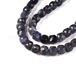 Naturperlen Stränge iolite&nbsp;G-N342-112A