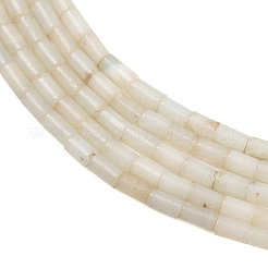 Fili di perline di amazzonite di fiori naturali&nbsp;GG-CBAED3F-A02