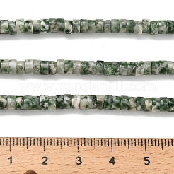 Natürliche grüne Fleck Jaspis Perlen Stränge&nbsp;G-Z110-A18-2x4mm