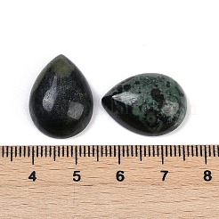 Natürliche Kambaba Jaspis Cabochons&nbsp;G-H094-01A-29