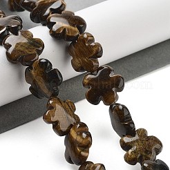Natürlichen Tigerauge Perlen Stränge&nbsp;G-F769-H01-01