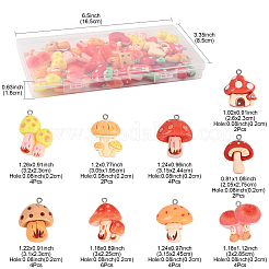 Colgantes de resina 32pcs 9 estilos&nbsp;RESI-FS0002-30