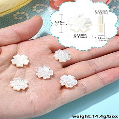 5 pezzo di perle di conchiglia bianca naturale&nbsp;BSHE-CJ0001-11