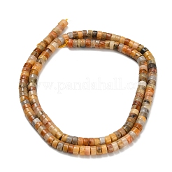 Natur verrückt Achat Perlen Stränge&nbsp;G-Z110-A22-2x4mm