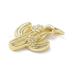 Pendentifs en laiton&nbsp;KK-L248-13G