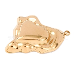 Pendentifs en acier inoxydable 304&nbsp;STAS-K311-06G