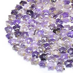 Natürlichen Amethyst Perlen Stränge&nbsp;G-P573-C01-01