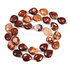 Naturelles feu crépitent agate perles brins&nbsp;G-K393-E01-10x12