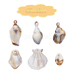 Pendentifs acryliques&nbsp;OACR-YW0001-23