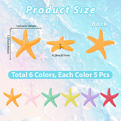 30 Stück 6 Farben undurchsichtige Harz-Cabochons&nbsp;AJEW-GF0013-81
