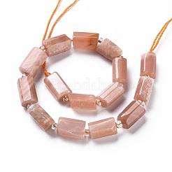 Natürliche sunstone Perlen Stränge&nbsp;G-S345-8x11-011