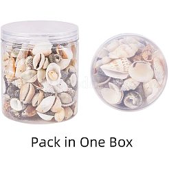 Gemischte natürliche Muschelperlen-Sets&nbsp;BSHE-PH0003-03
