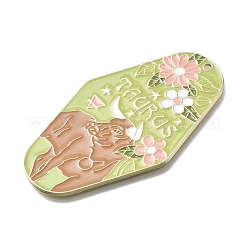 Grands pendentifs en alliage émaillé avec douze constellations&nbsp;ENAM-D305-06D-G