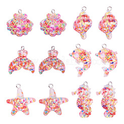 24pcs 6 styles de pendentifs en résine&nbsp;RESI-TA0003-27