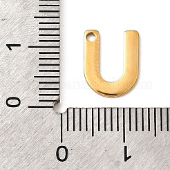 Breloques en acier inoxydable 304&nbsp;STAS-B093-12G-U