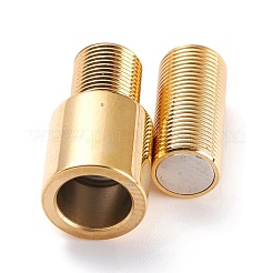 Ionenplattierung (IP) 304 Edelstahl Magnetverschlüsse&nbsp;STAS-G239-01G