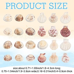 100g 2 Stile Muschelschalenperlen&nbsp;SSHEL-YW0001-08