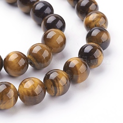 Natürlichen Tigerauge Perlen Stränge&nbsp;G-G099-10mm-5