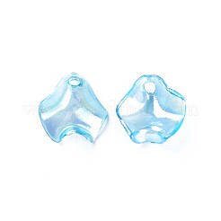 Pendentifs en acrylique transparent &nbsp;MACR-S373-106-C01