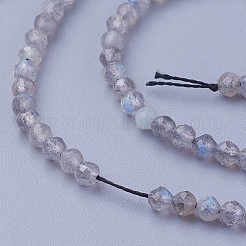Perline labradorite naturale fili&nbsp;G-F619-15-2mm