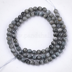 Perline occhio fili di falco naturale&nbsp;G-S333-6mm-034