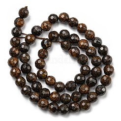 Natur Bronzit Perlen Stränge&nbsp;G-E571-42A