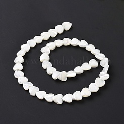 Fili di perline di conchiglia trochus naturale&nbsp;SSHEL-H070-06C