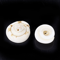 Cuentas de concha de ojo de shiva natural&nbsp;SSHEL-Q302-01