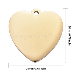 Pendentifs en acier inoxydable 304&nbsp;LS-STAS-I140-10A-G