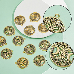 40 pz pendenti in lega cava in stile tibetano&nbsp;TIBEP-FH0001-29AG