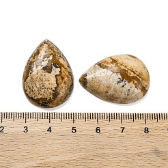 Natur Bildjaspisses cabochons&nbsp;G-B085-03B-10