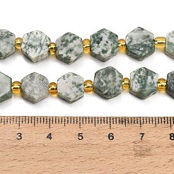 Natürliche grüne Fleck Jaspis Perlen Stränge&nbsp;G-F833-B05-01