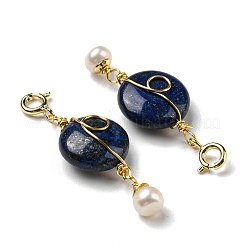 Décorations de pendentif rond plat en lapis-lazuli naturel&nbsp;G-R489-47G