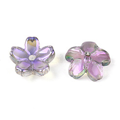 Capuchons de perles en verre électrolytique transparent&nbsp;EGLA-N015-01E