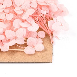 Fleur séchée&nbsp;DIY-B018-09