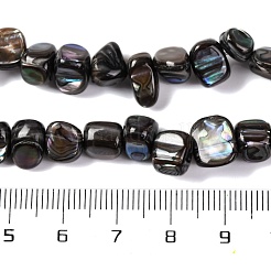 Eau douce naturelle de coquillage perles brins&nbsp;BSHE-S304-06
