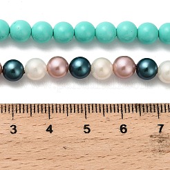 Runde Schale Perlen Stränge&nbsp;BSHE-XCP0001-81