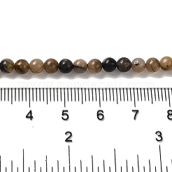 Brins de perles de chiastolite naturelles&nbsp;G-Q161-A03-01