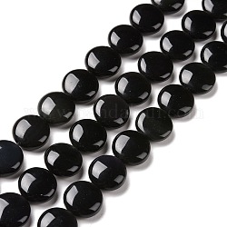 Perles en obsidienne naturelle, plat rond, 14x5~6mm, Trou: 1mm, Environ 30 pcs/chapelet, 16.14 pouce (41 cm)