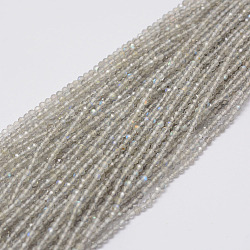 Chapelets de perles en labradorite naturelle , ronde, facette, 2.25mm, Trou: 0.5mm, environ 143 pcs/ brin, 12.7 pouce (32.5 cm)