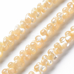 Coquille de trochid naturel / brins de perles de coquille de trocas, ovale, 6x3mm, Trou: 0.8mm, Environ 173~174 pcs/chapelet, 15.75 pouce ~ 16.34 pouces (40~41.5 cm)