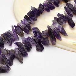 Natural Amethyst Nuggets Beads Strands, 19~38x5~10mm, Hole: 1mm, about 15.7 inch