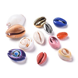Perles de coquillage cauri naturelles, pas de trous / non percés, mixedstyle, couleur mixte, 13.5~28.5x8~18x5~13.5mm