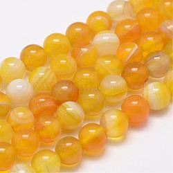 Chapelets de perles en agate rayée naturelle/agate à bandes, ronde, teints et chauffée, or, 8mm, Trou: 1mm, Environ 47~48 pcs/chapelet, 14.5 pouce