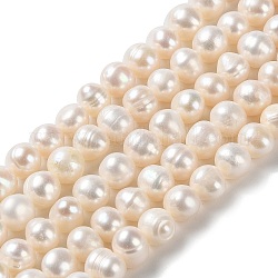 Fili di perle di perle d'acqua dolce coltivate naturali, patata, grado A +, papayawhip, 8~9x7~8mm, Foro: 0.6 mm, circa 52pcs/filo, 14.25~14.45'' (36.2~36.7 cm)