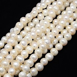 Natural Cultured Freshwater Pearl Beads Strands, Potato, Creamy White, 10~11mm, Hole: 0.8mm, about 40pcs/strand, 13.77 inch~14.17 inch